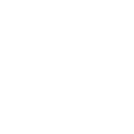 Юристы и консультанты